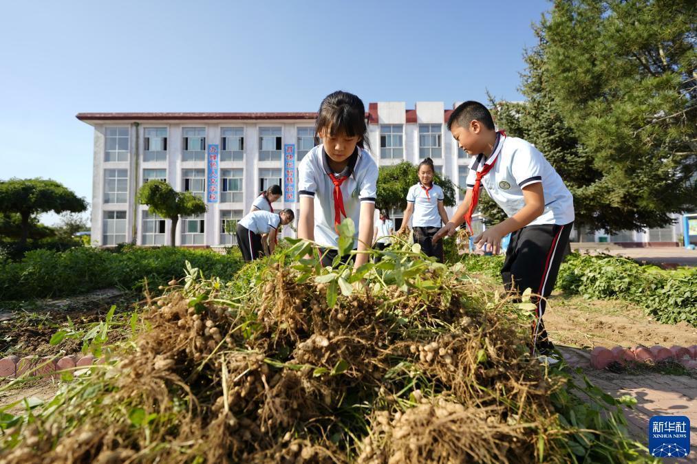 宝马娱乐下载